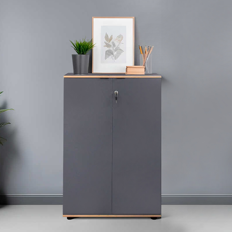 Rio Megapap melamine office file cabinet with lock in anthracite color 72x34x109cm.