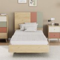Terra Megapap melamine bed in florida oak color 100x200cm.