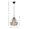 Hideki Megapap E27 metallic single-light ceiling light in black color 22x22x80cm.