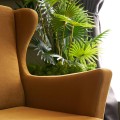 Lola Megapap velvet armchair in gold color 77x70x92cm.