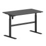 LEVEL Electric Height adjustable Desk, Black