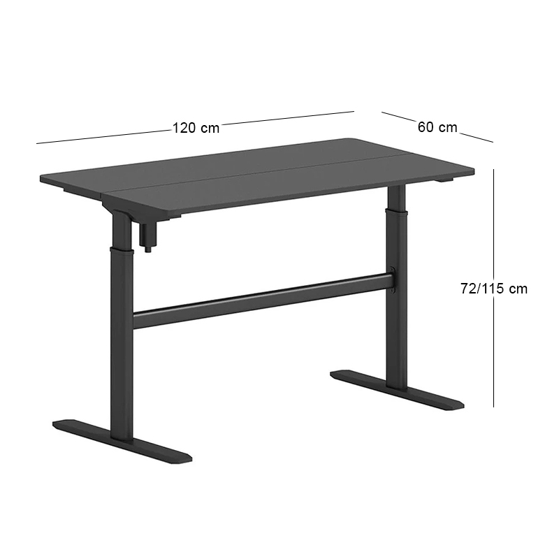 LEVEL Electric Height adjustable Desk, Black