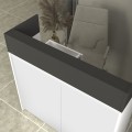 Wilko Megapap melamine welcome desk - reception with LED in white - anthracite color 113.6x42x110cm.