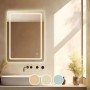 LED-6 Wall Mirror 60x80cm, Illuminated