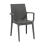 DAFNE Plastic Armchair Anthracite (Rattan Look)