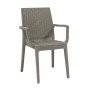 DAFNE Plastic Armchair Tortora Beige (Rattan Look)