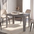 Darlen Megapap melamine dinner table in concrete grey color 125x72x74cm.