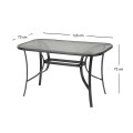 Toledo Megapap metal - tempered glass table in anthracite color 120x70x70cm.