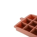 ICE- CUBE TRAY SILICONE 16 CASES ROTTEN APPLE