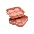 ICE-CUBE TRAY SILICONE 4 CASES ROUND ROTTEN APPLE