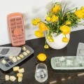 ICE-CUBE TRAY PLASTIC 14 CASES WITH LID ROTTEN APPLE