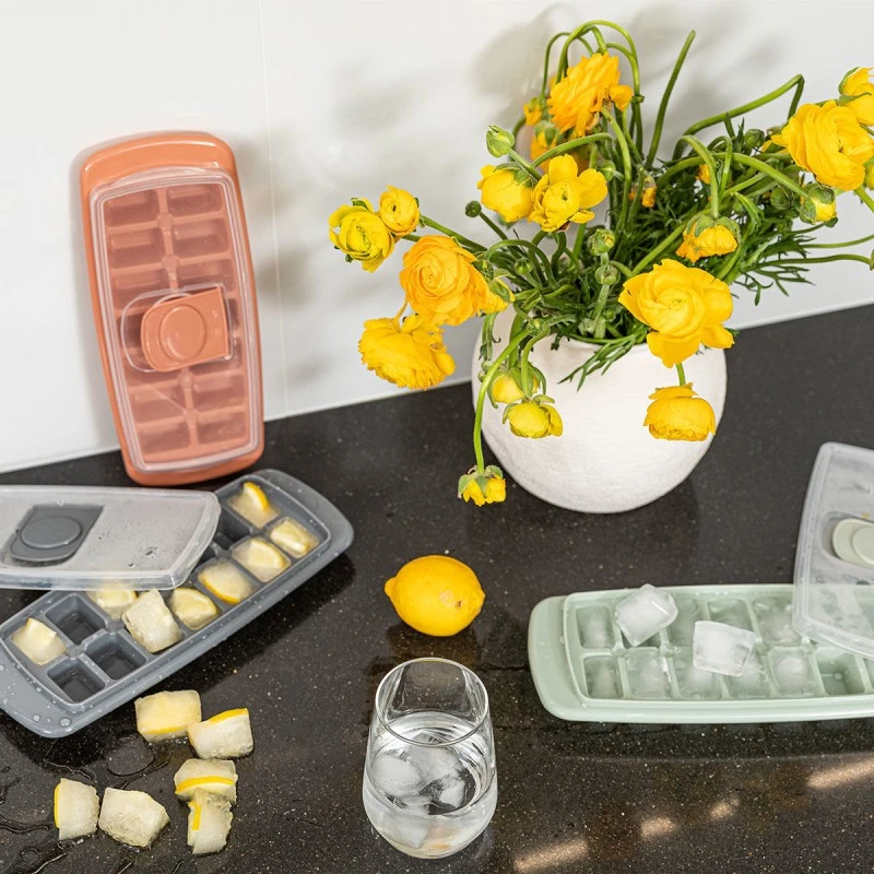 ICE-CUBE TRAY PLASTIC 14 CASES WITH LID ROTTEN APPLE