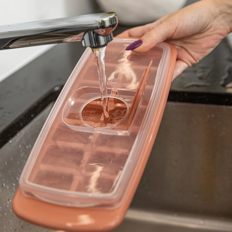 ICE-CUBE TRAY PLASTIC 14 CASES WITH LID ROTTEN APPLE