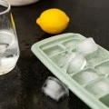 ICE-CUBE TRAY PLASTIC 14 CASES WITH LID ROTTEN APPLE