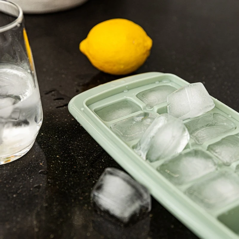 ICE-CUBE TRAY PLASTIC 14 CASES WITH LID ROTTEN APPLE