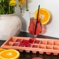ICE-CUBE TRAY PLASTIC 16 CASES ROTTEN APPLE
