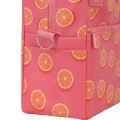 LUNCH BAG SAVE THE AEGEAN INSULATED 7lt ORANGE POP