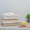 STORAGE &amp; ORGANIΖER BOX BOTANICA 32x24x12cm WITH INTERNAL CLOTHING &amp; LID
