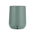 BATHROOM BIN FJORD SOFT CLOSE 5lt SAGE