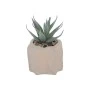 DECO ARTIFICIAL PLANT PETRA WITH CEMENT BASE 13cm