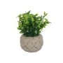 DECO ARTIFICIAL PLANT PETRA WITH CEMENT BASE 19cm