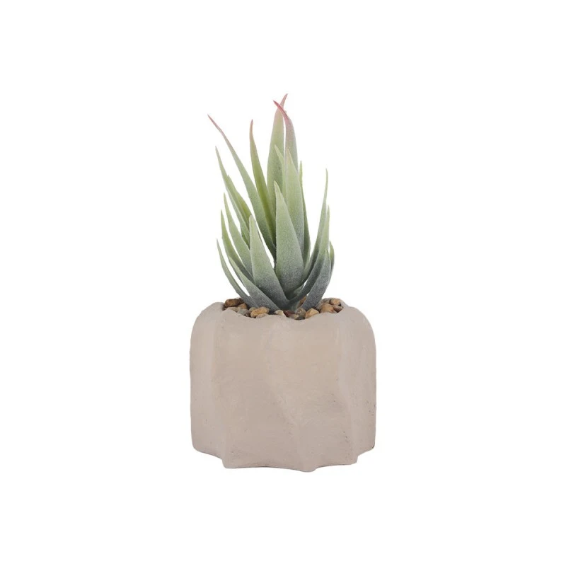 DECO ARTIFICIAL PLANT PETRA WITH CEMENT BASE 15,5cm