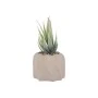DECO ARTIFICIAL PLANT PETRA WITH CEMENT BASE 15,5cm