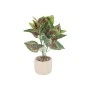 DECO ARTIFICIAL PLANT PETRA WITH CEMENT BASE 30cm