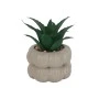 DECO ARTIFICIAL PLANT PETRA WITH CEMENT BASE 9.5cm