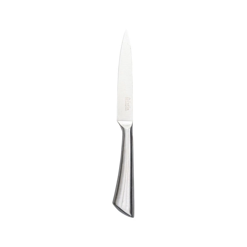 GENERAL PURPOSE KNIFE TOKYO STEEL STAINLESS STEEL 2.5mm WITH 3CR13 BLADE