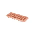 ICE-CUBE TRAY PLASTIC 16 CASES ROTTEN APPLE