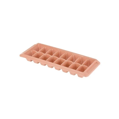 ICE-CUBE TRAY PLASTIC 16 CASES ROTTEN APPLE