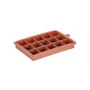 ICE- CUBE TRAY SILICONE 16 CASES ROTTEN APPLE