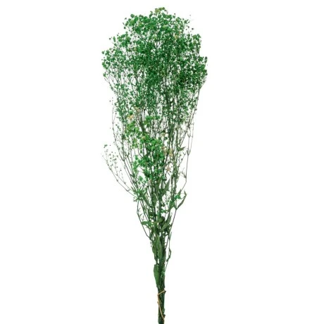 GREEN BABY BREATH BOUQUETE 120GR