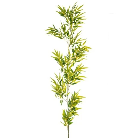 GREEN BAMBOO BRANCH GIGA 2M