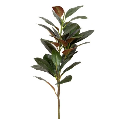 GREEN SYCAMORE BRACH GIGAS 135CM