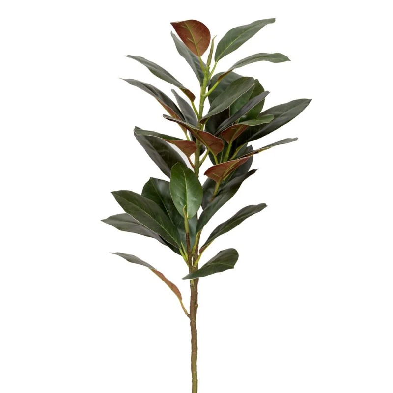 GREEN SYCAMORE BRACH GIGAS 135CM