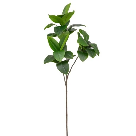GREEN SYCAMORE BRACH GIGAS 115CM
