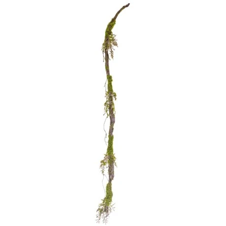 GREEN VINE BRANCH 2M