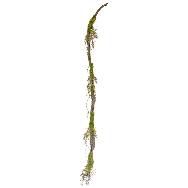 GREEN VINE BRANCH 2M