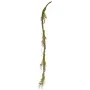 GREEN VINE BRANCH 2M