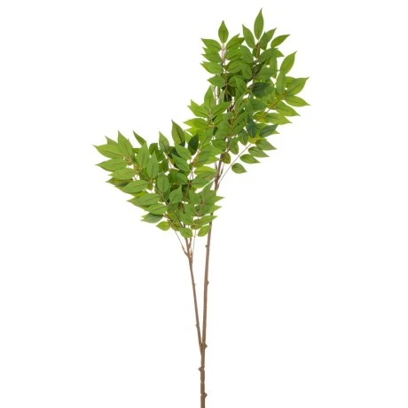 GREEN ACACIA BRANCH GIGAS 105CM