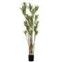 DRACENA TREE 200CM WITH UV AND FIRE PROTECTION