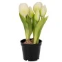 WHITE ARTIFICIAL TULIP 20CM X5 IN BLACK PLASTIC POT