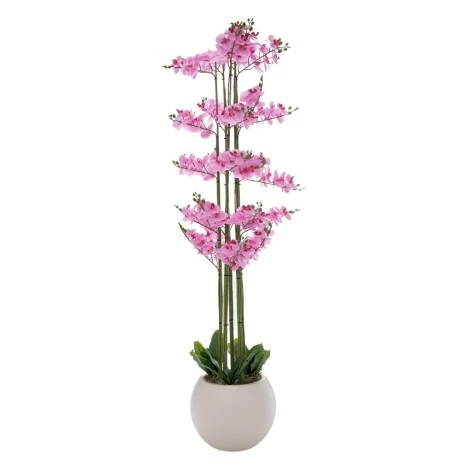 ΡΟΖ ΟΡΧΙΔΕΑ PHALAENOPSIS ΣΕ ΕΚΡΟΥ ΚΕΡΑΜΙΚΟ ΚΑΣΠΩ 190ΕΚ
