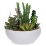 ARTIFICIAL SUCCULENT PLANT IN CERAMIC POT 17CM
