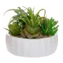 ARTIFICIAL SUCCULENT PLANT IN CERAMIC POT 17CM