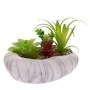 ARTIFICIAL SUCCULENT PLANT IN CERAMIC POT 16CM
