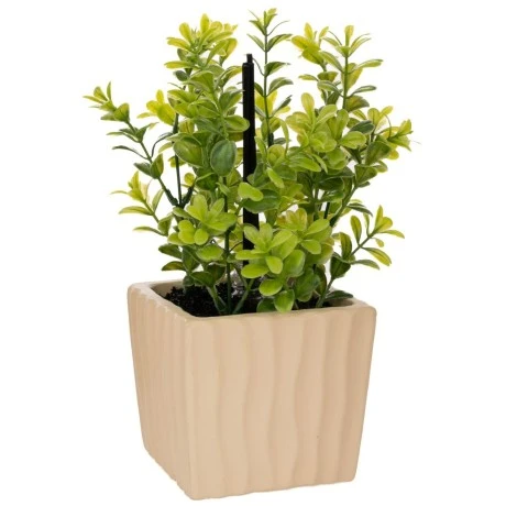 ARTIFICIAL GREEN GRASS IN POT WITH AROMA IN GIFT BOX  (JADE DRAGON TEA FRAGRANCE) 15X12X27CM