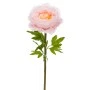 ARTIFICIAL GIANT STEM LIGHT PINK PEONY 38X38X115CM